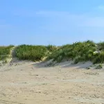 Apartment Gunnlaug - 500m From The Sea By Interhome